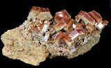 Large, Ruby Red Vanadinite Crystals - Morocco #51284-1